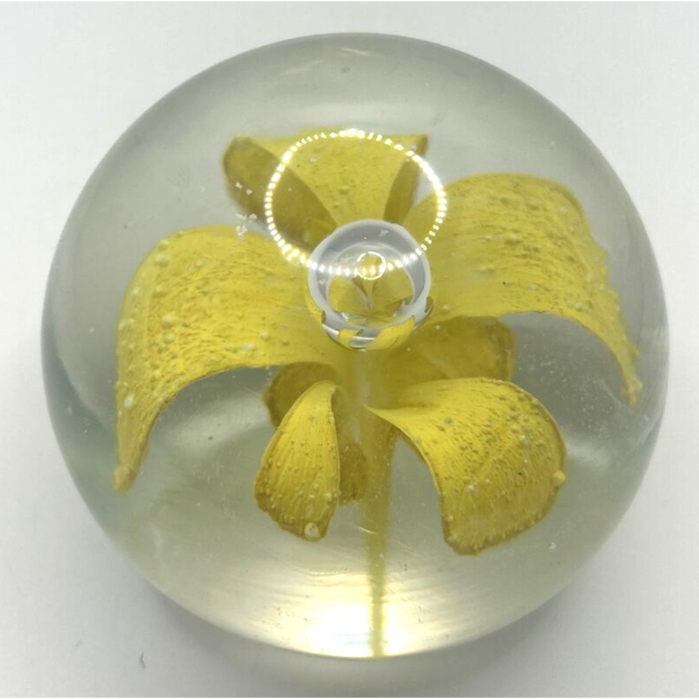 Vintage‎ Glass Paper Weight Daffodil U258/21
